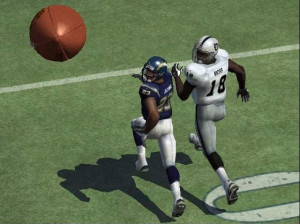 Madden NFL 06 - Gamecube