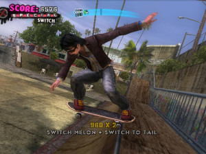 Tony Hawk's American Wasteland - Gamecube