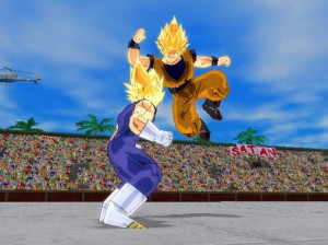 Dragon Ball Z : Budokai Tenkaichi - PS2