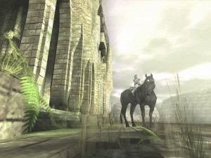 Shadow of the Colossus - PS2