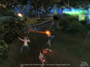 Harry Potter et la coupe de feu - PS2