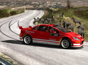 WRC : Sébastien Loeb Edition 2005 - PS2