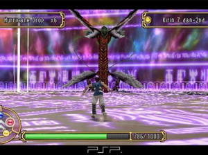 Kingdom Of Paradise - PSP