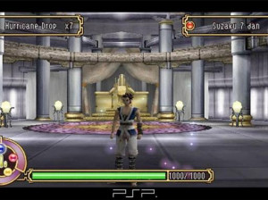 Kingdom Of Paradise - PSP