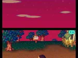 Animal Crossing : Wild World - DS