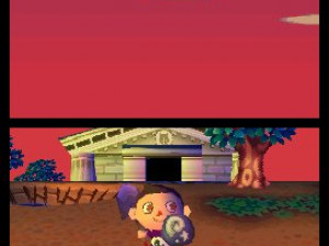 Animal Crossing : Wild World - DS