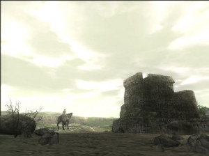 Shadow of the Colossus - PS2