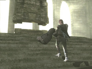 Shadow of the Colossus - PS2