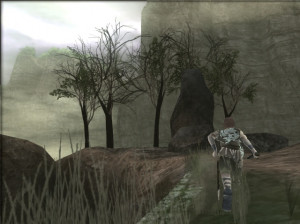 Shadow of the Colossus - PS2