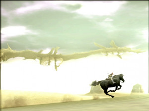 Shadow of the Colossus - PS2