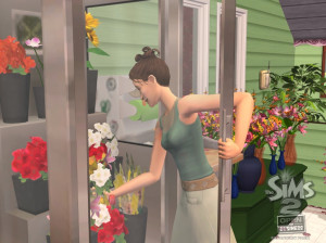 Les Sims 2 : La Bonne Affaire - PC