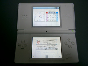 Nintendo DS - DS