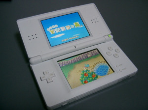 Nintendo DS - DS