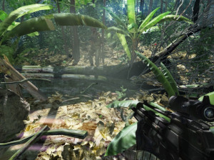 Crysis - PC