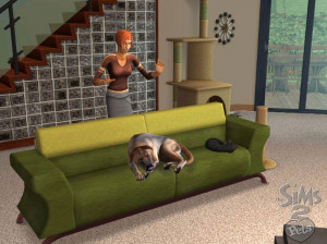 Les Sims 2 : Animaux Et Cie - PC