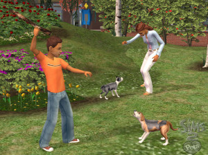 Les Sims 2 : Animaux Et Cie - PC