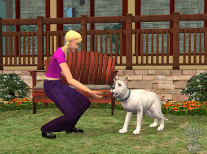 Les Sims 2 : Animaux Et Cie - PC