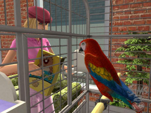 Les Sims 2 : Animaux Et Cie - PC