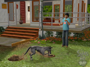 Les Sims 2 : Animaux Et Cie - PC