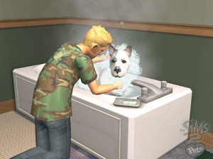 Les Sims 2 : Animaux Et Cie - PC