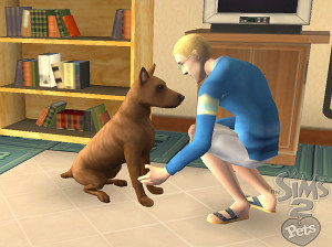 Les Sims 2 : Animaux Et Cie - Gamecube