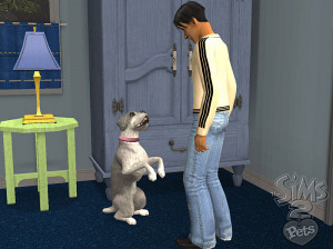 Les Sims 2 : Animaux Et Cie - PC