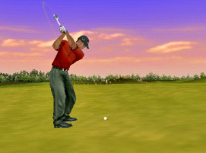 Tiger Woods PGA Tour 07 - PSP