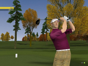 ProStroke Golf : World Tour 2007 - PC