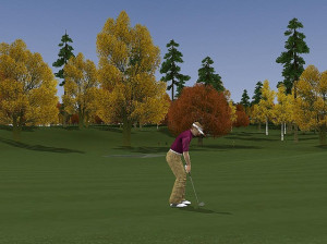 ProStroke Golf : World Tour 2007 - PC