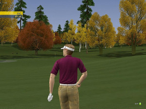 ProStroke Golf : World Tour 2007 - PC