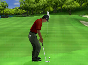 Tiger Woods PGA Tour 07 - PSP