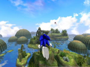 Sonic and the Secret Rings - Wii