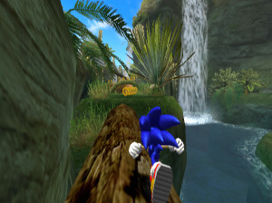 Sonic and the Secret Rings - Wii