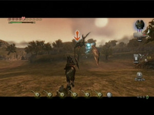 The Legend of Zelda : Twilight Princess - Wii