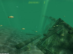 Diver : Aventures en eaux profondes - PC