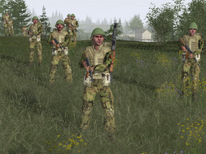 ArmA : Armed Assault - PC