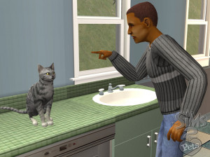 Les Sims 2 : Animaux Et Cie - PC