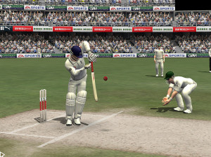 Cricket 07 - PS2