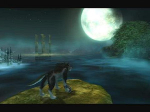 The Legend of Zelda : Twilight Princess - Wii