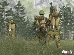 ArmA : Armed Assault - PC