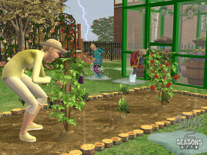 Les Sims 2 : Au fil des Saisons - PC