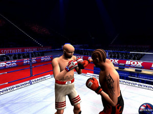 Boxing Manager - PC