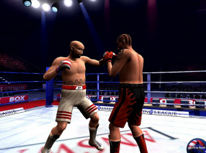 Boxing Manager - PC