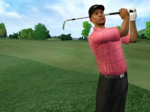 Tiger Woods PGA Tour 07 - Wii