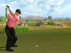 Tiger Woods PGA Tour 07 - Wii