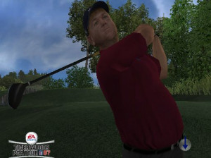 Tiger Woods PGA Tour 07 - Wii