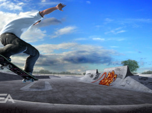 Skate - PS3