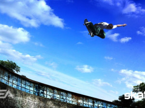 Skate - PS3