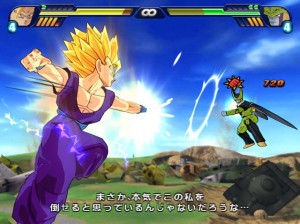 Dragon Ball Z Budokai Tenkaichi 3 - Wii