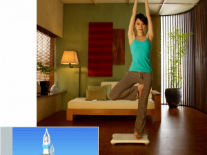 Wii Fit - Wii